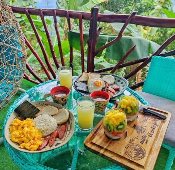 هتل Nidos De Pajaros