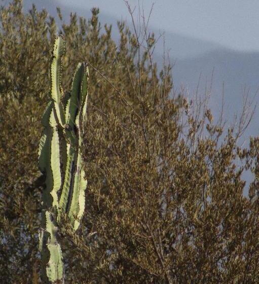 فندق Pulso Valle