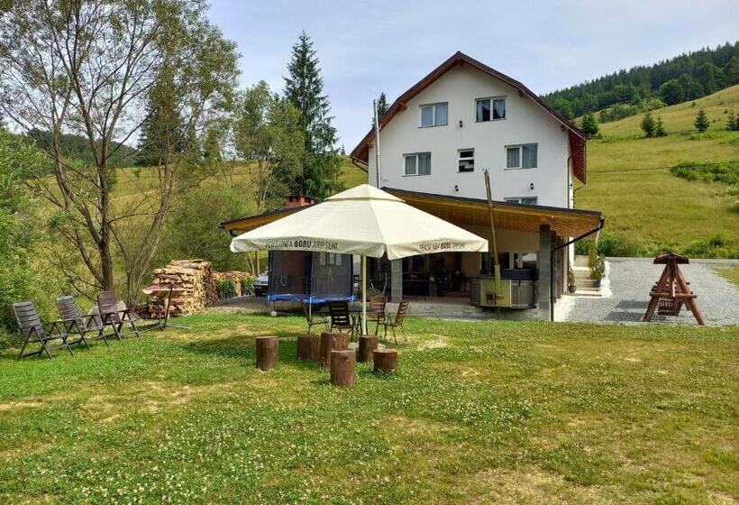 پانسیون Casa Bobu Arieseni