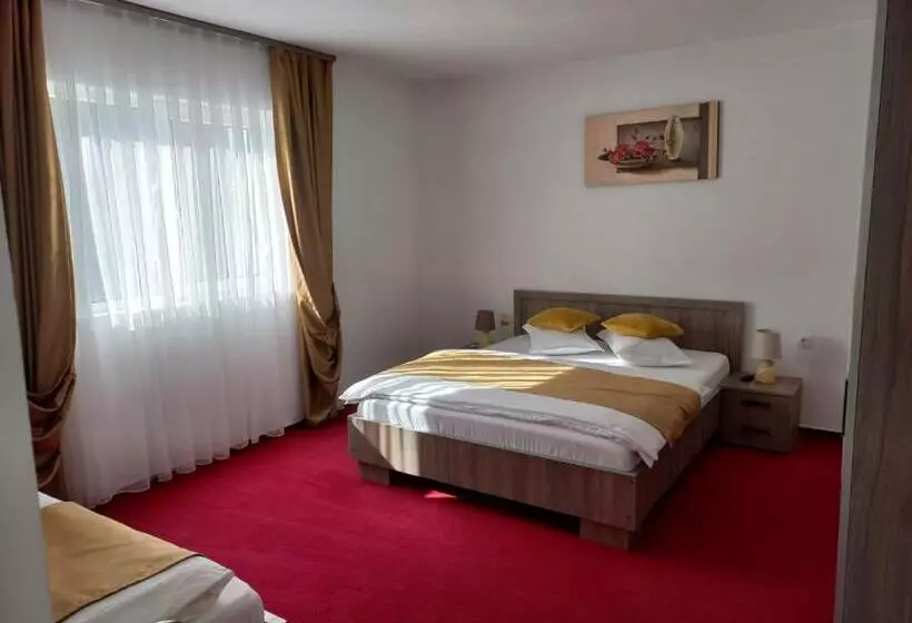 ペンション Casa Bobu Arieseni