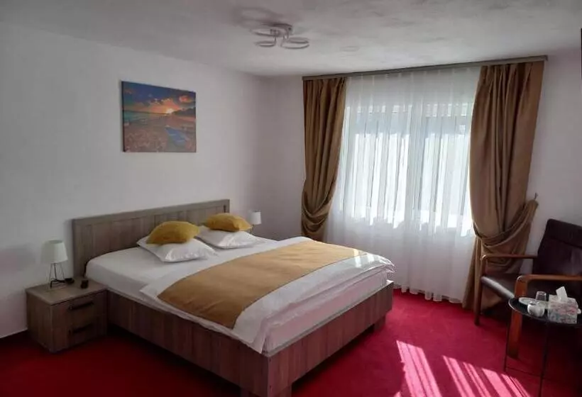 ペンション Casa Bobu Arieseni