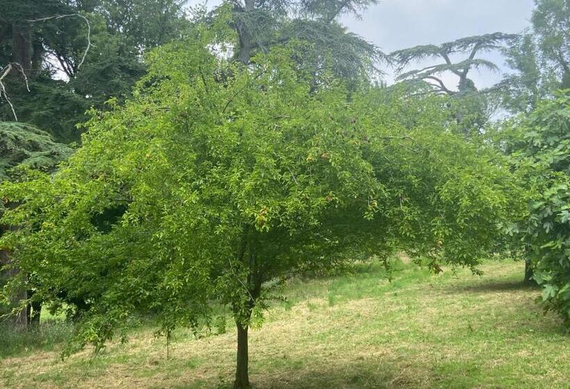 פנסיון La Grange De Garac