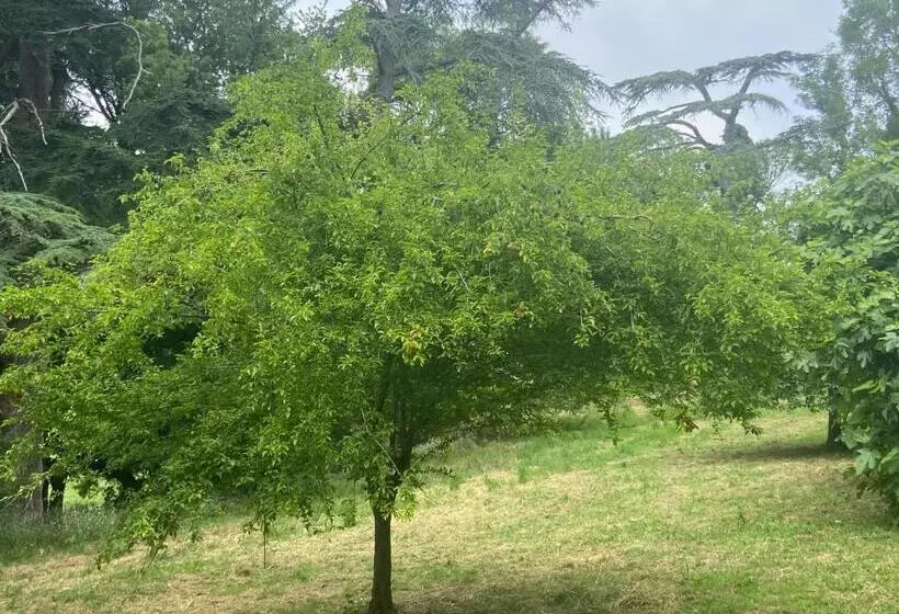 ペンション La Grange De Garac