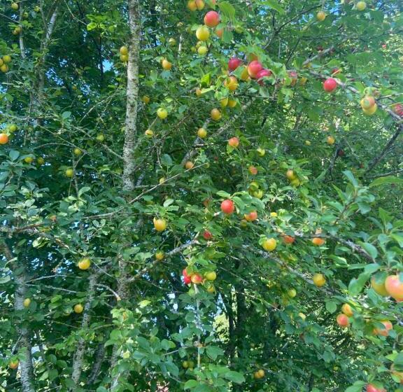 פנסיון La Grange De Garac