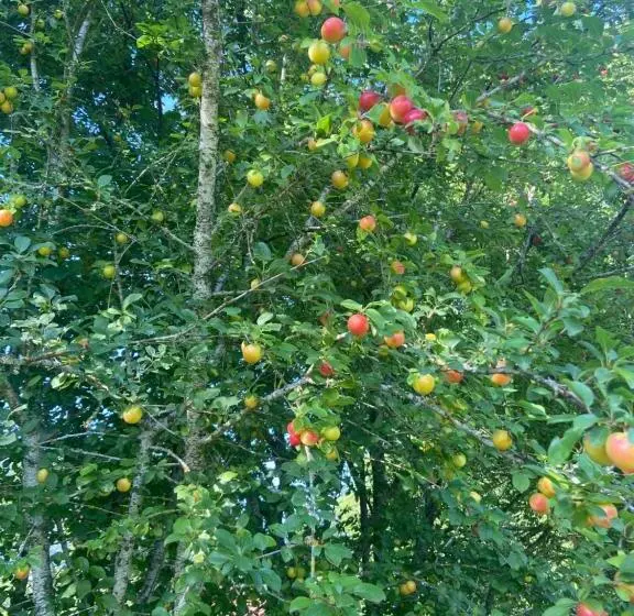 ペンション La Grange De Garac