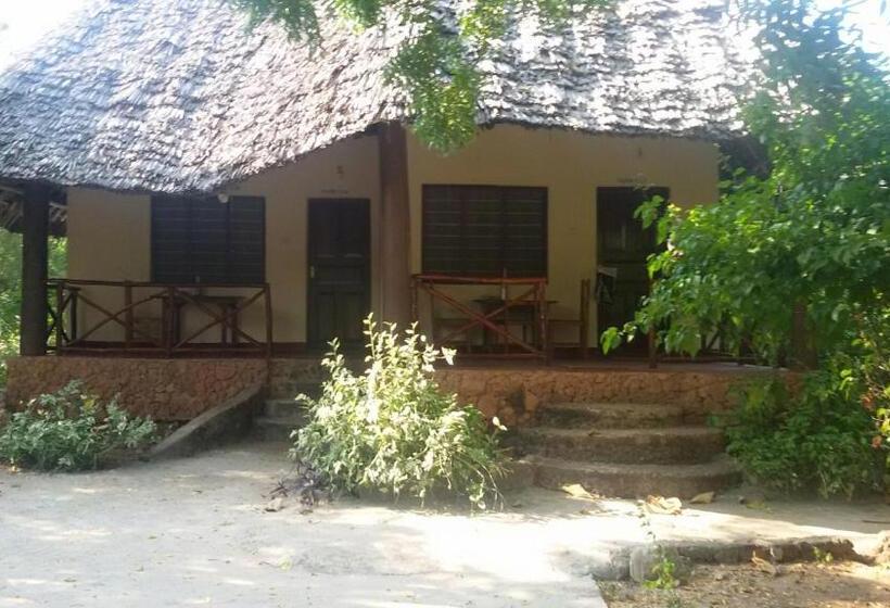 Bed and Breakfast Baraka Aquarium Bungalows