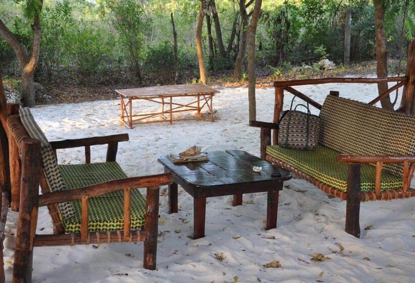 Bed and Breakfast Baraka Aquarium Bungalows