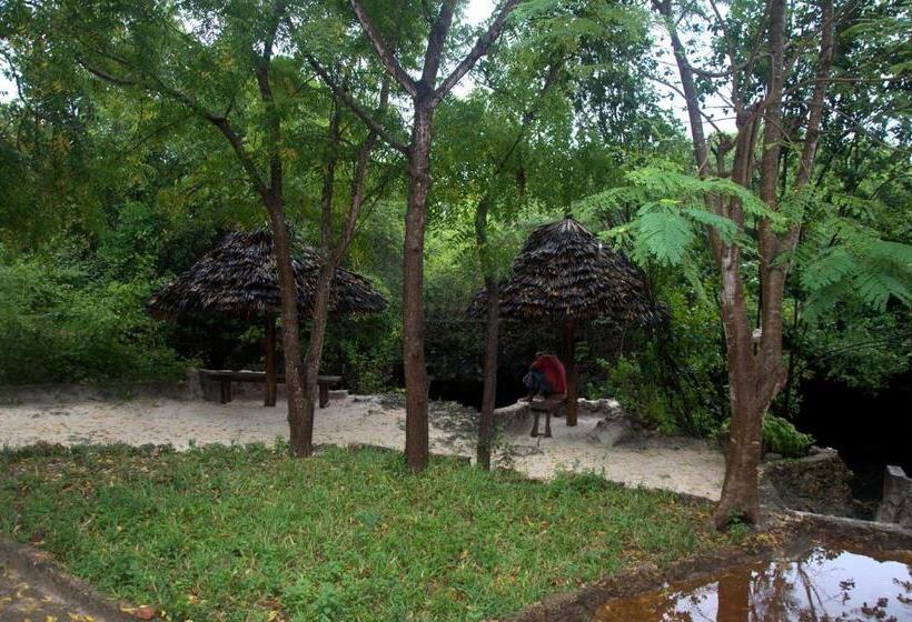 Bed and Breakfast Baraka Aquarium Bungalows