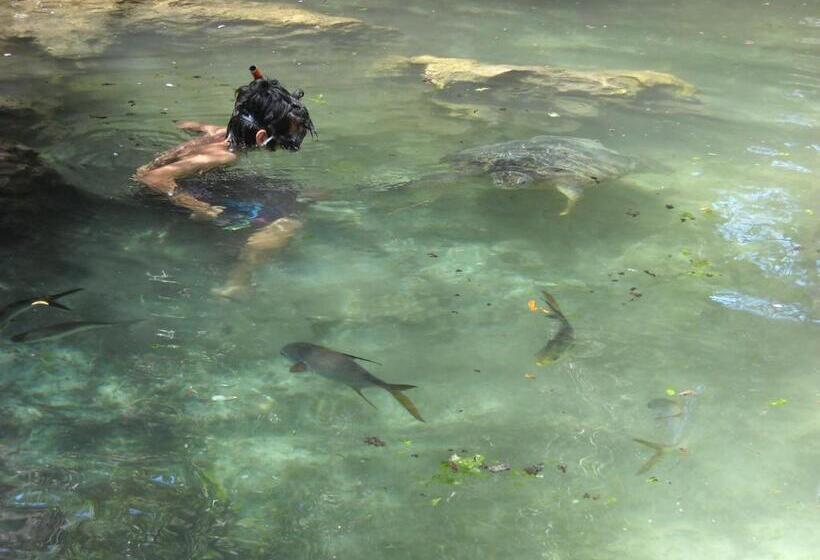 Bed and Breakfast Baraka Aquarium Bungalows