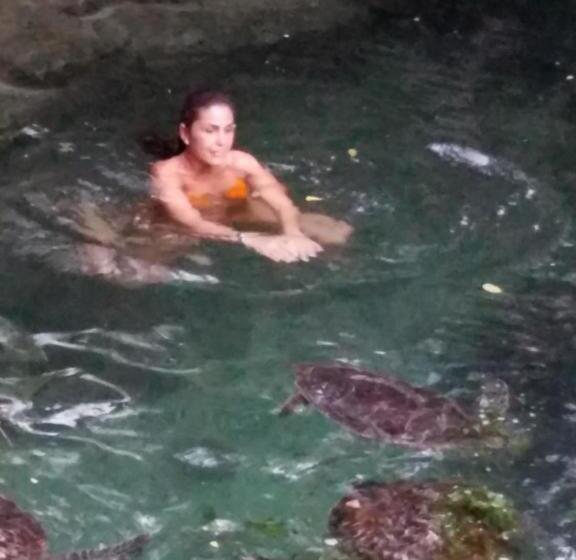 Bed and Breakfast Baraka Aquarium Bungalows