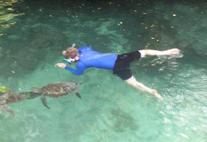 Bed and Breakfast Baraka Aquarium Bungalows