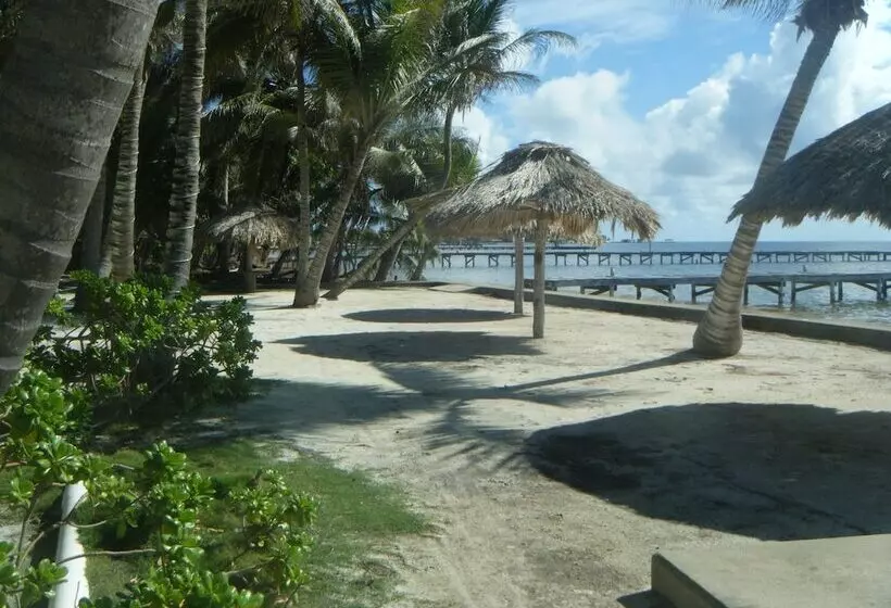 Hotelli Cocotal Inn And Cabanas