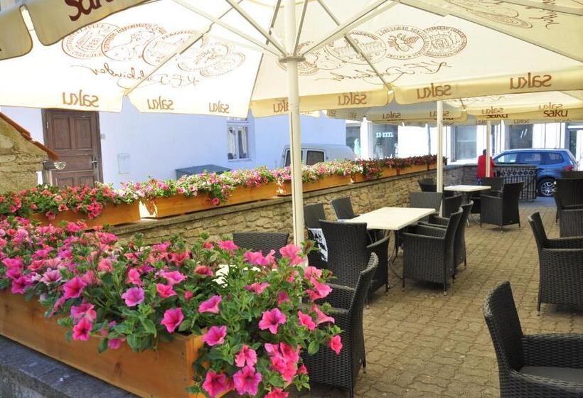 هتل Vanalinna Boutique