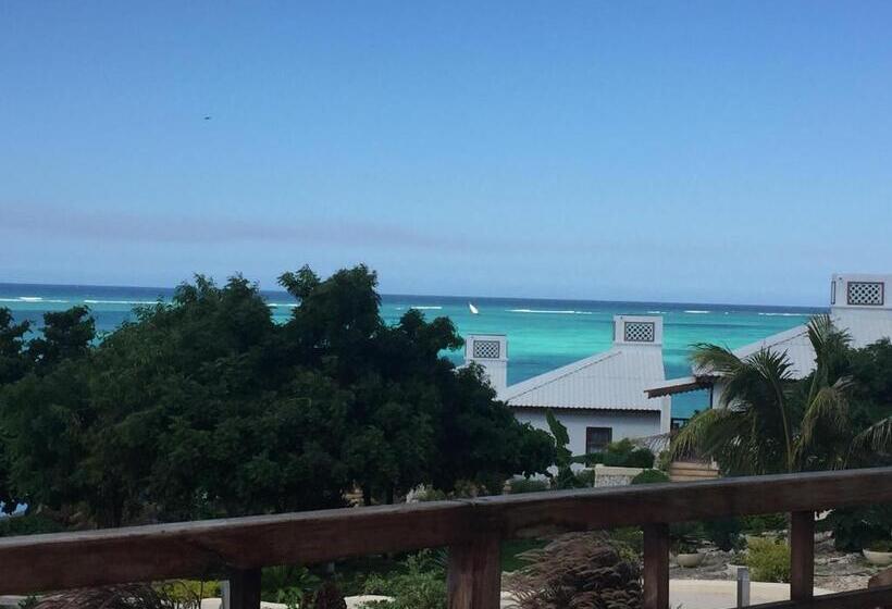 בית מלון כפרי Warere Beach