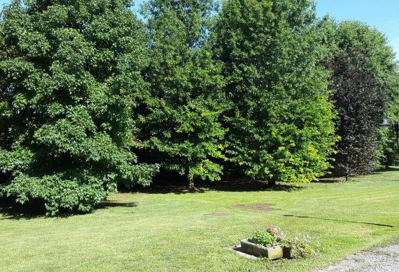 B&b Villa Melograno Pontoglio