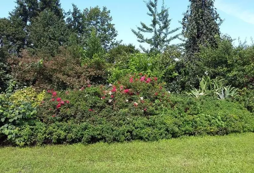 B&b Villa Melograno Pontoglio