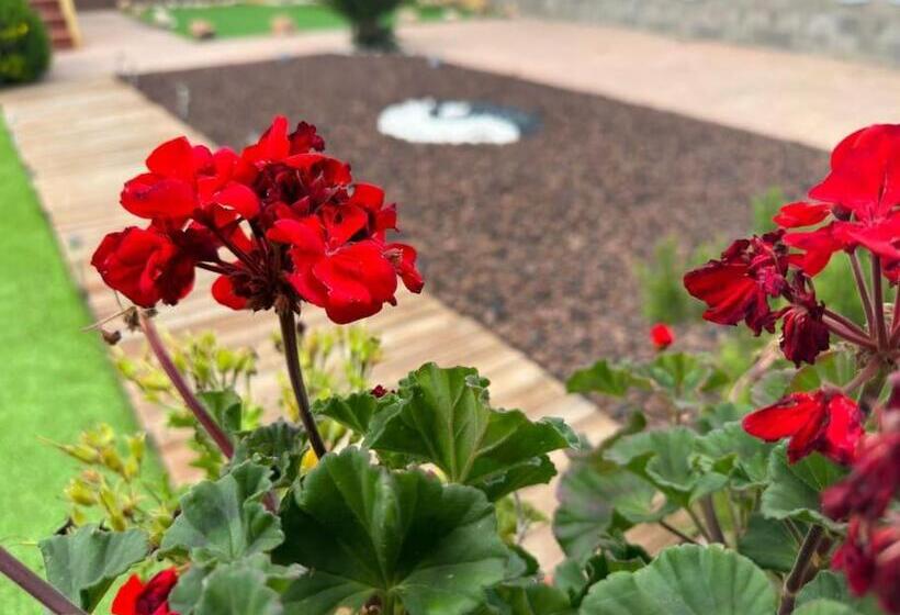 住宿加早餐 Casa Salud