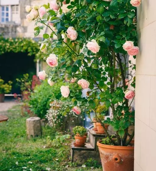 Majatalo Le Prieuré Sainte Croix