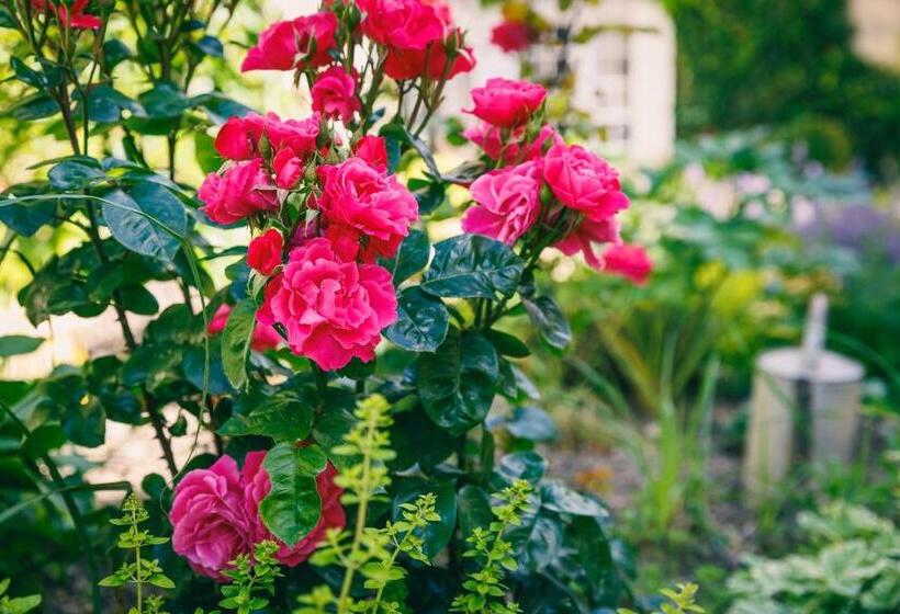 Pension Le Prieuré Sainte Croix