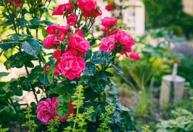Majatalo Le Prieuré Sainte Croix