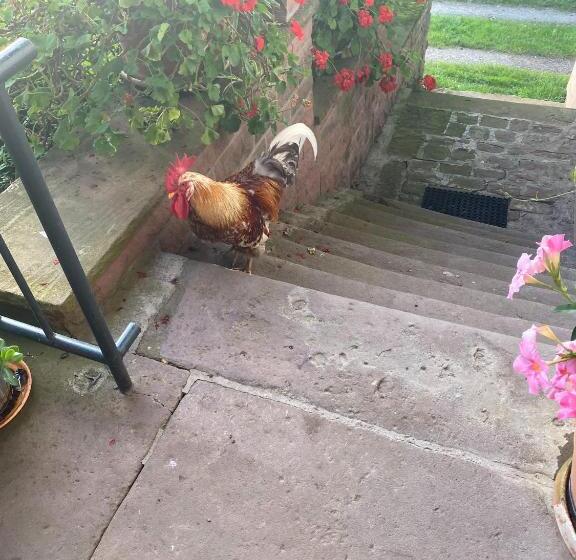 פנסיון Room In Guest Room   Double Room Apple Blossom