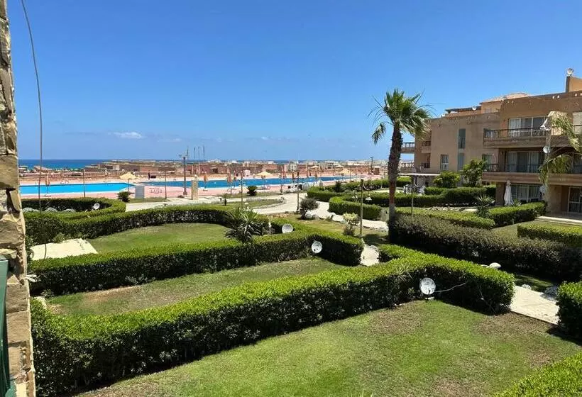 بلومار Blumar