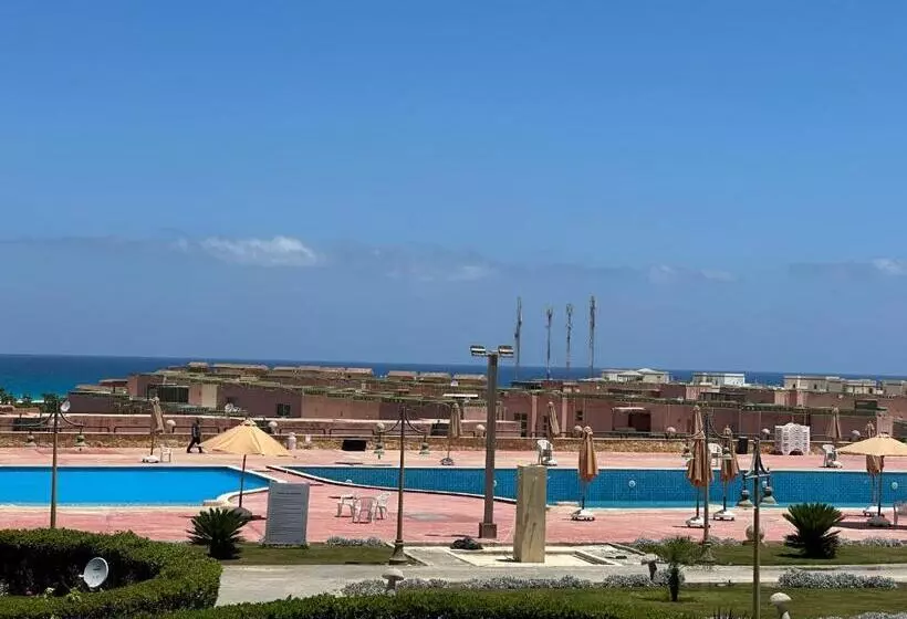 بلومار Blumar