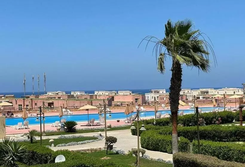 بلومار Blumar