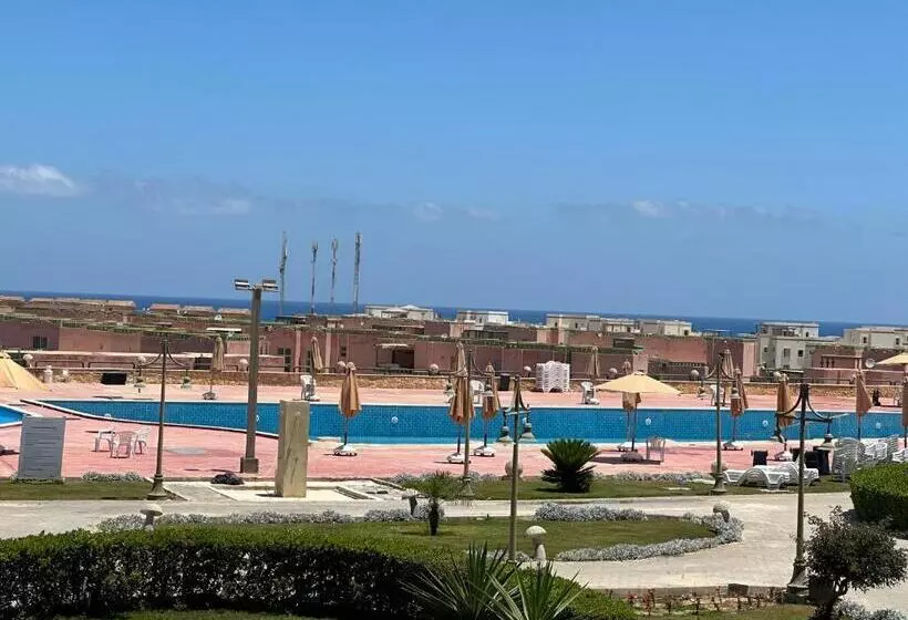 بلومار Blumar