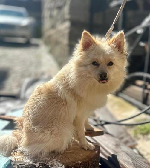 Arthotel Oscar I Sozopol