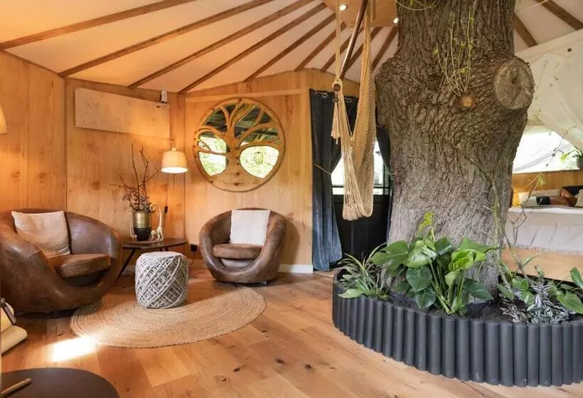 Aamiaismajoitus (B&B) Baumhaus Herberge Bockhop