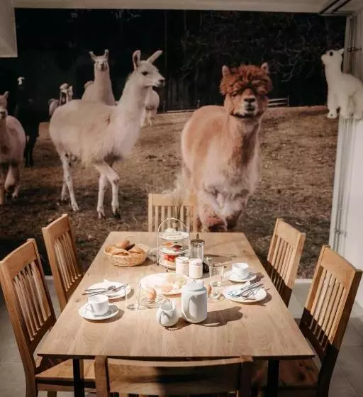 ホテル Alpakas, Lamas Und Rentiere Zum Grünen See
