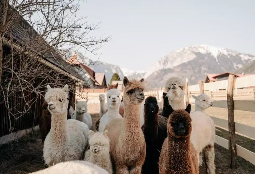 ホテル Alpakas, Lamas Und Rentiere Zum Grünen See