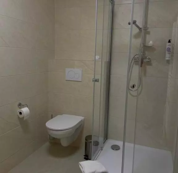 Hotelli Penzion Mountain