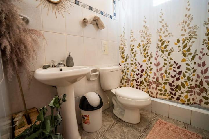 Pension Blue Lotus Chamomile With Mountain View And Balcony