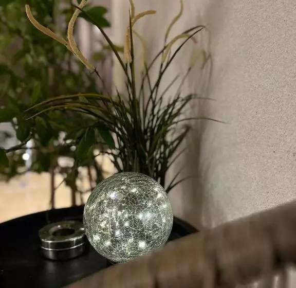 ペンション Vila Nicolas