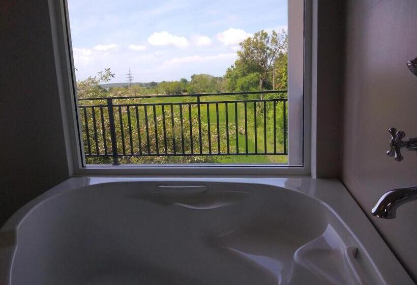 Pensão Why Not Guesthouse