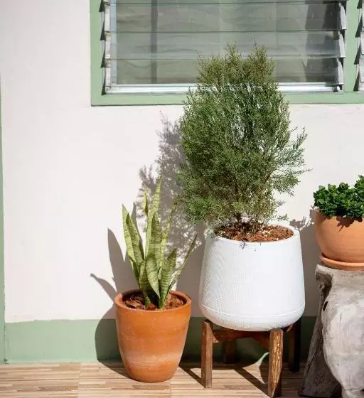 Ta Kaew Hostel ตาแก้ว โฮสเทล