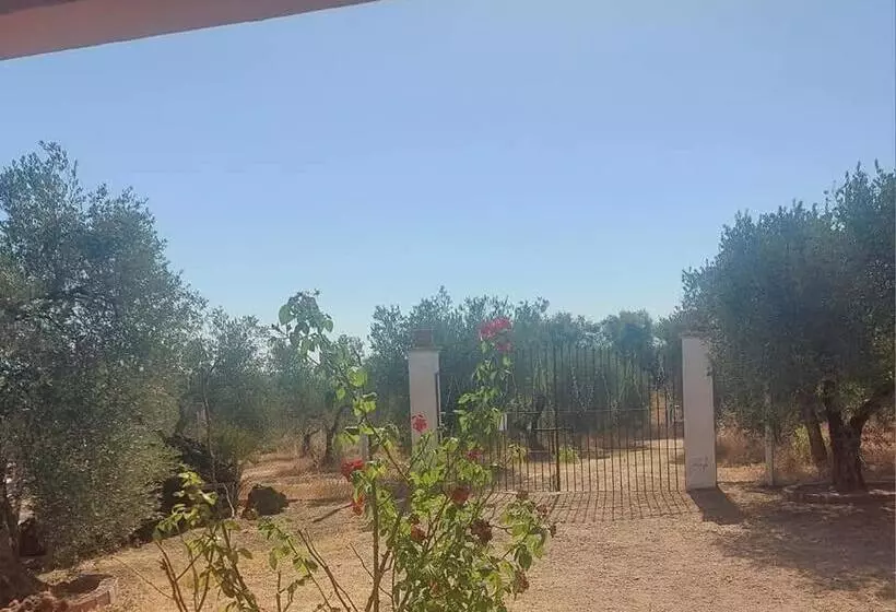 هتل Forest Farm