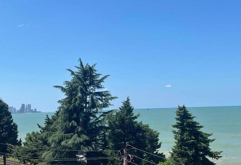 هتل Mzıurı House