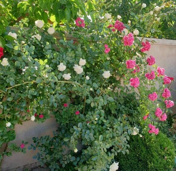 پانسیون Diamond