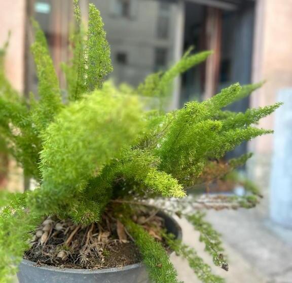 Пансион Monolocale Vacanze