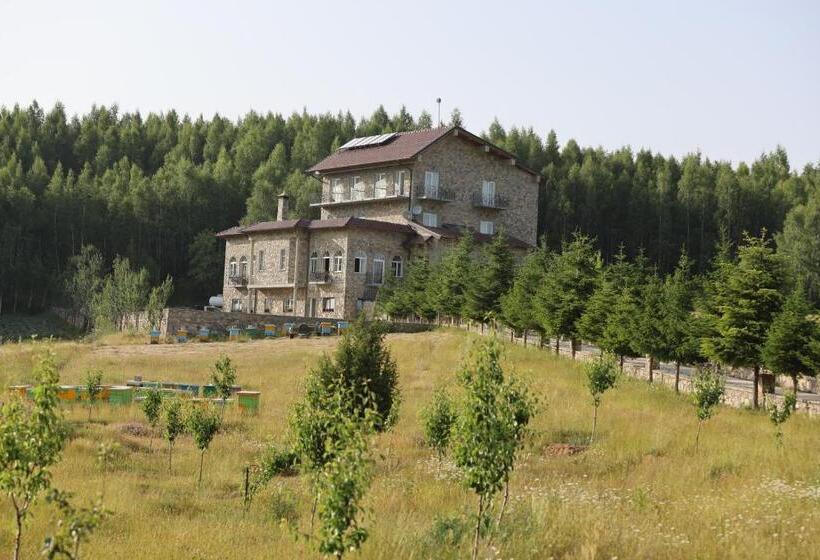 فندق Stani I Hoxhes