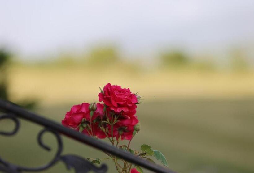 Отель Stani I Hoxhes