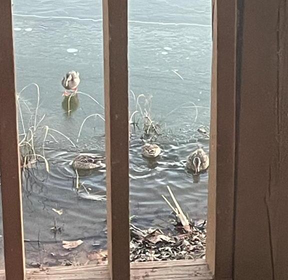 민박 Roebuck Ranch