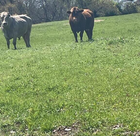 민박 Roebuck Ranch