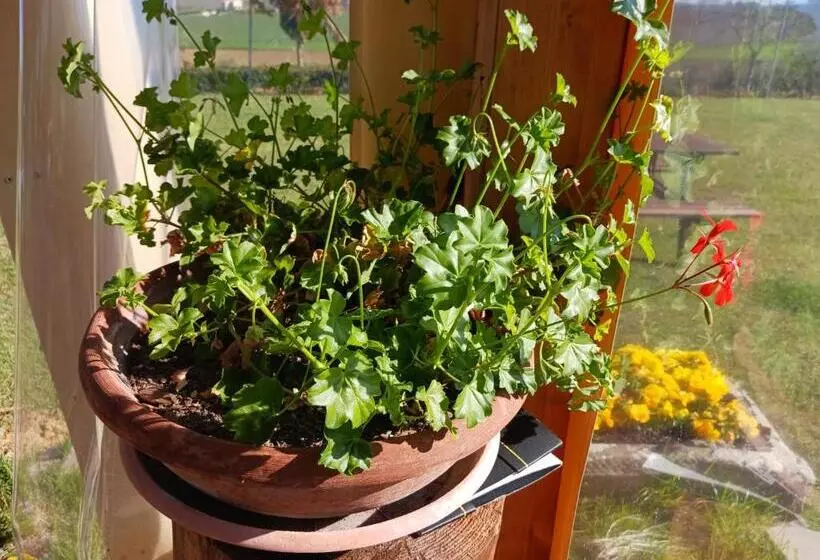 هتل Agriturismo Il Mandorlo