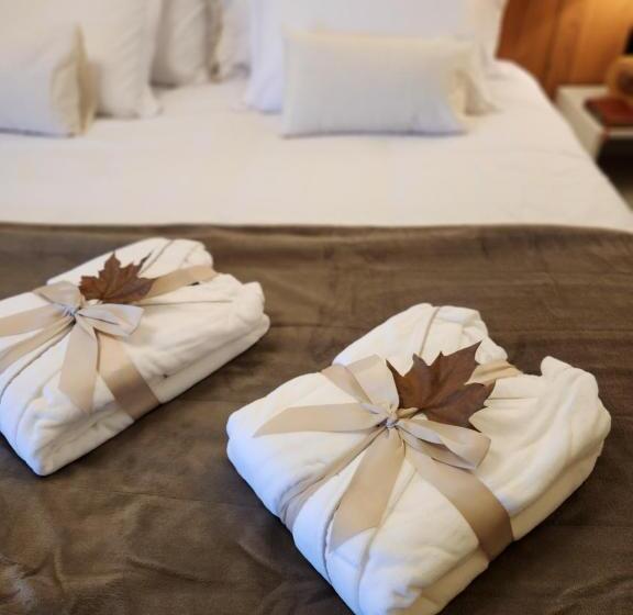 호텔 Pousada Maple Monte Verde