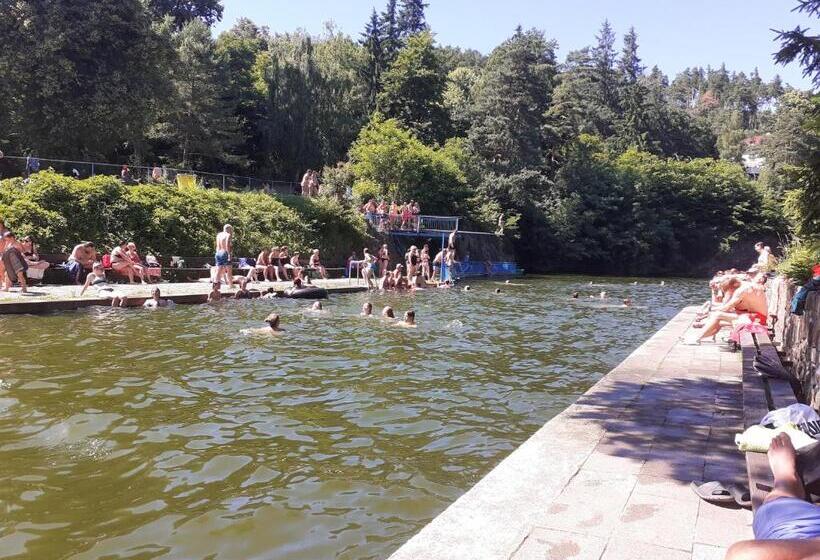 Pension Penzion U Smrku Luleč