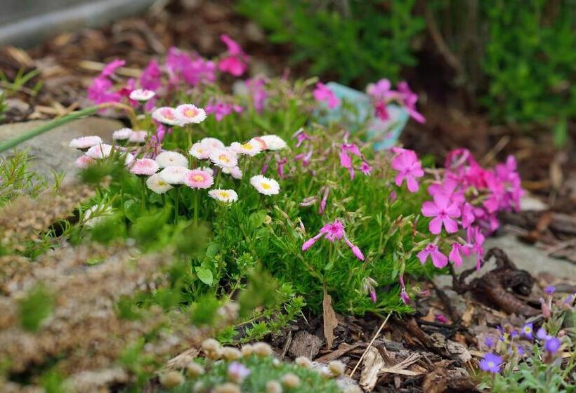 Pension Penzion U Smrku Luleč